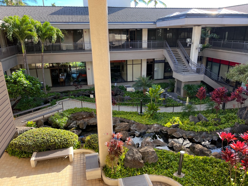 ハワイカイの画像4